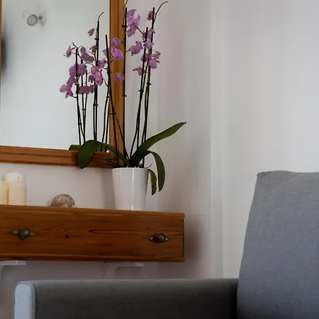 Seample كريس أكتي