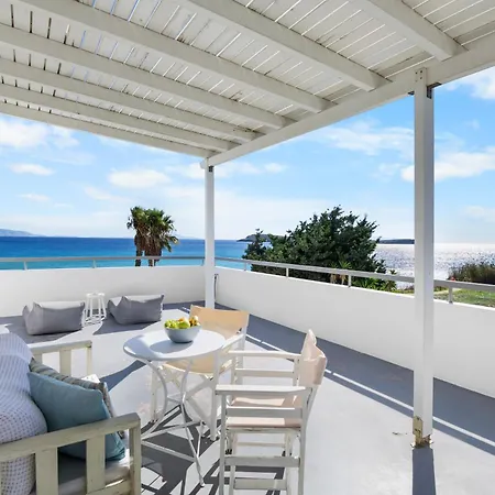 Seample 3* كريس أكتي