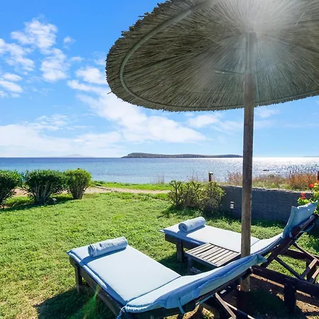 Seample كريس أكتي